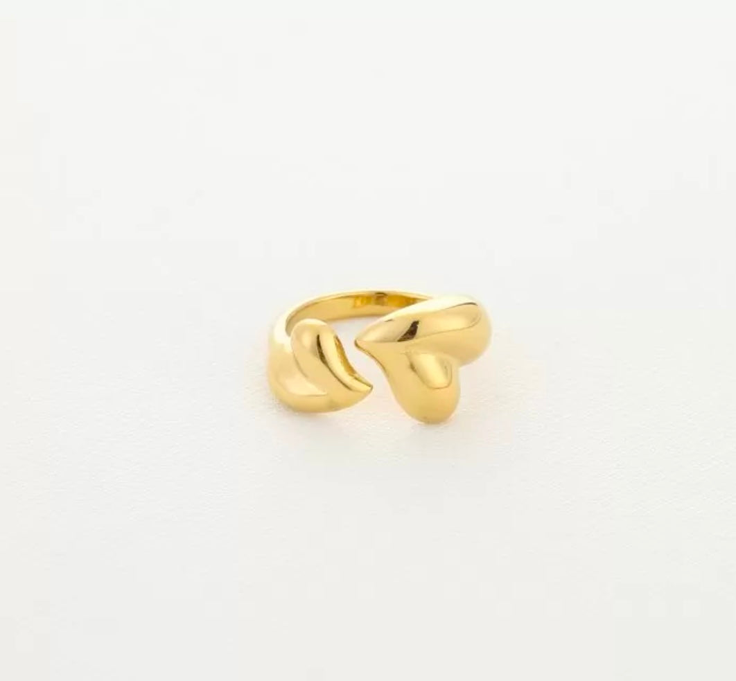 Double heart ring