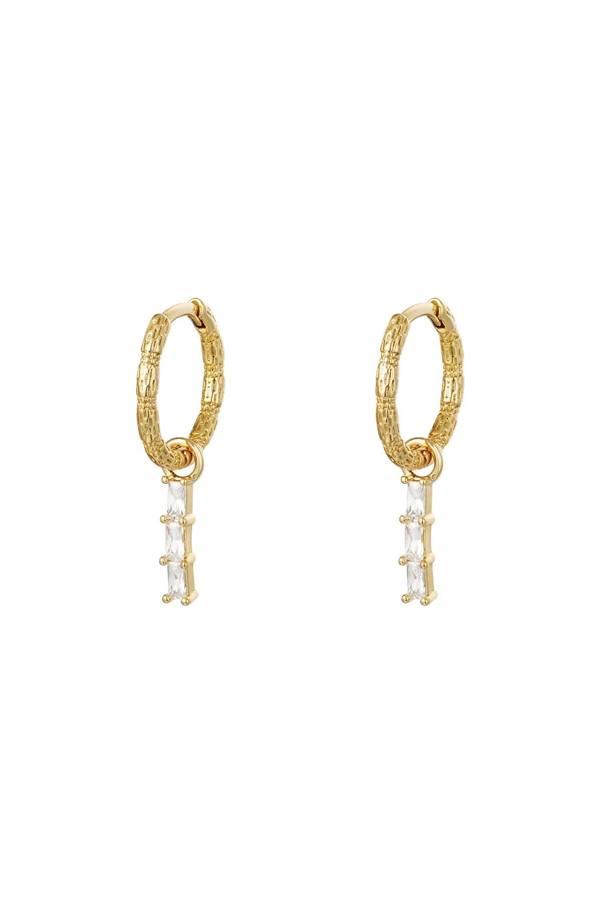 Shinny earrings