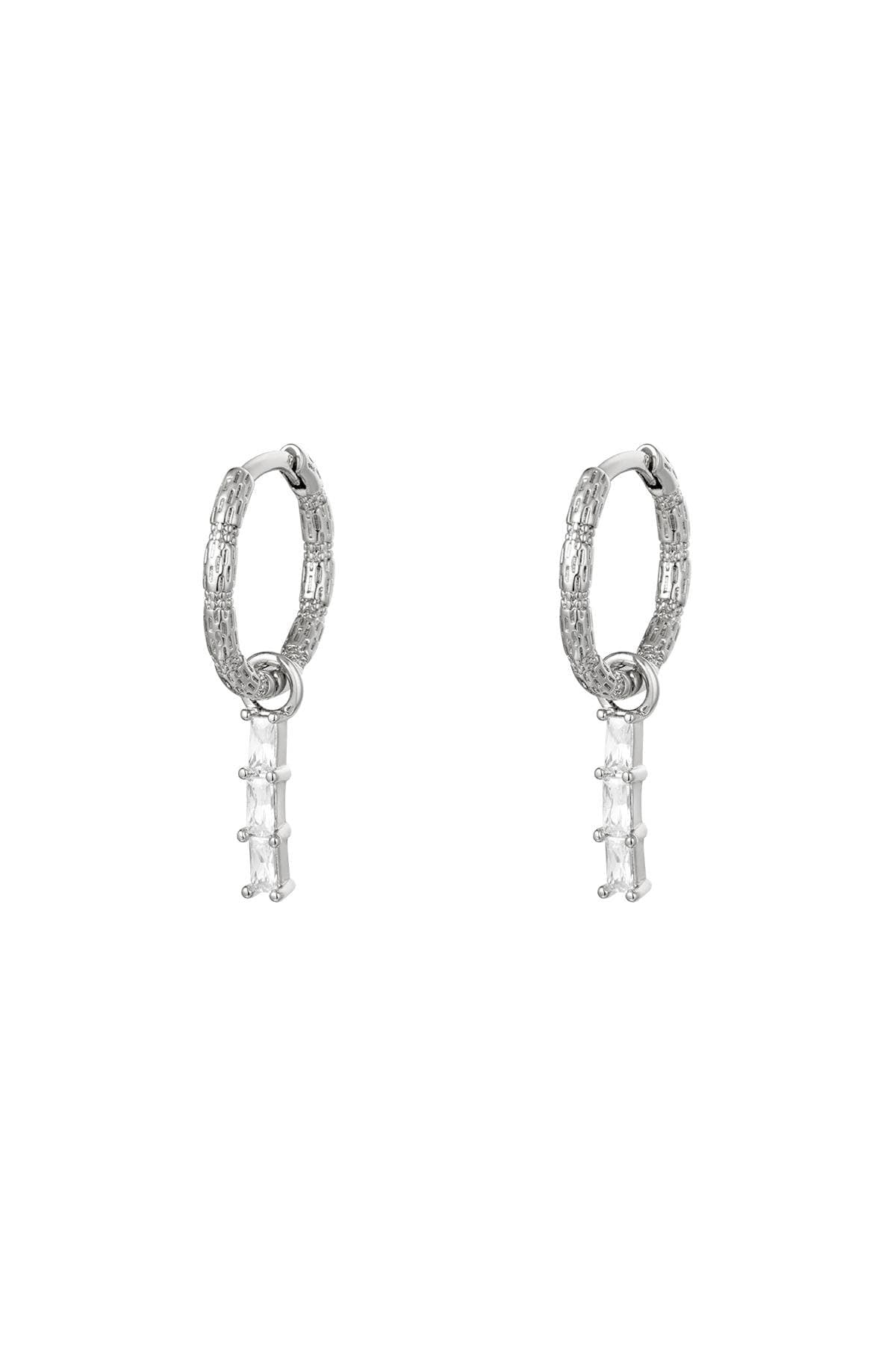 Shinny earrings
