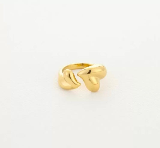 Double heart ring