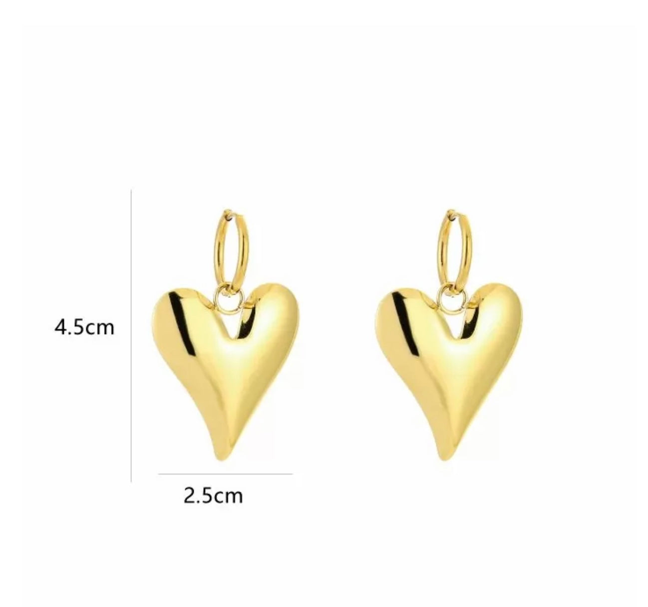Aukje earrings