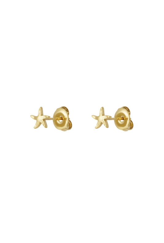 Star studs