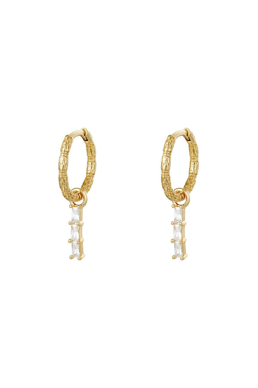 Shinny earrings